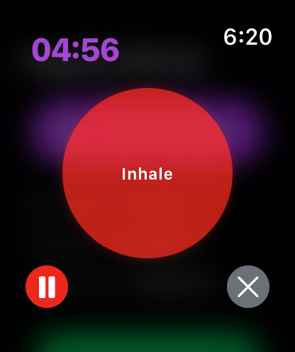 Watch App Screenshot 2